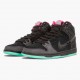 Nike Dunk SB High Premier Northern Lights 313171 063 Sportovní obuv