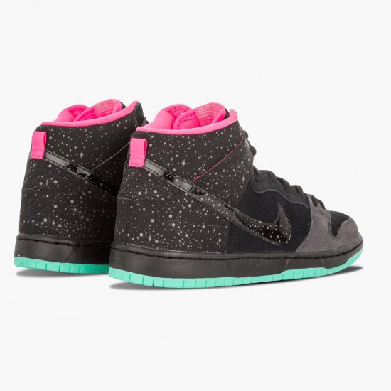 Nike Dunk SB High Premier Northern Lights 313171 063 Sportovní obuv