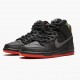 Nike Dunk SB High Spot Gasparilla 313171 028 Pánské Sportovní obuv