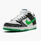 Nike Dunk SB Low Loon 313170 011 Sportovní obuv