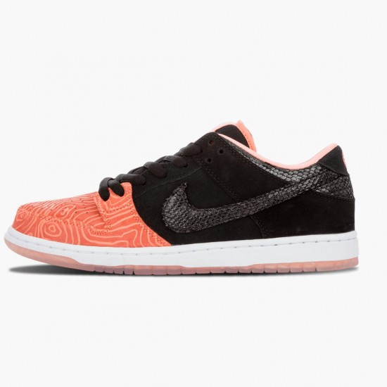 Nike Dunk SB Low Premier Fish Ladder 313170 603 Sportovní obuv