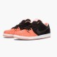 Nike Dunk SB Low Premier Fish Ladder 313170 603 Sportovní obuv