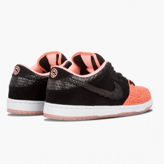 Nike Dunk SB Low Premier Fish Ladder 313170 603 Sportovní obuv