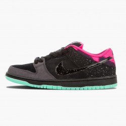 Nike Dunk SB Low Premier Northern Lights 724183 063 Sportovní obuv