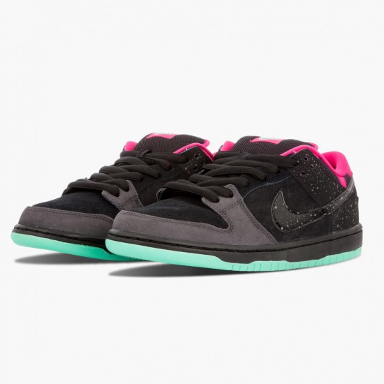 Nike Dunk SB Low Premier Northern Lights 724183 063 Sportovní obuv