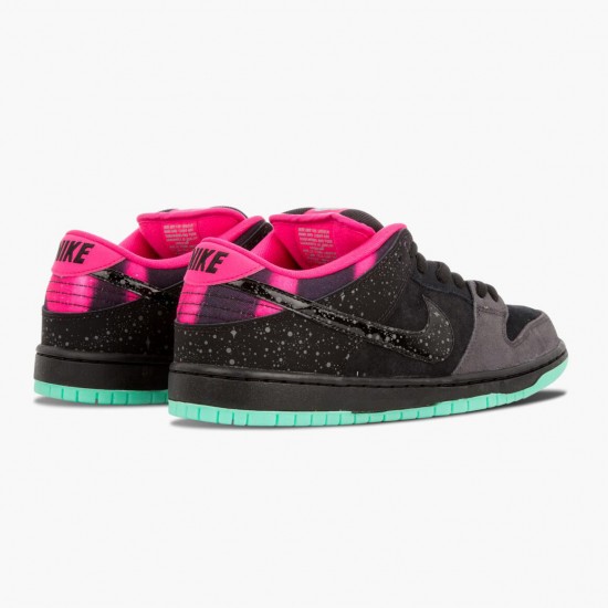 Nike Dunk SB Low Premier Northern Lights 724183 063 Sportovní obuv