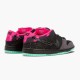 Nike Dunk SB Low Premier Northern Lights 724183 063 Sportovní obuv