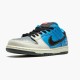 Nike SB Dunk Low Instant Skateboards CZ5128 400 Sportovní obuv