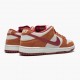 Nike SB Dunk Low Pro Dark Russet Cedar BQ6817 202 Sportovní obuv