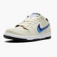 Nike SB Dunk Low Truck It CT6688 200 Sportovní obuv