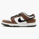 Nike SB Dunk Low Bílý Černá Trail End Hnědý 304292 102 Pánské Sportovní obuv