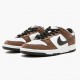 Nike SB Dunk Low Bílý Černá Trail End Hnědý 304292 102 Pánské Sportovní obuv