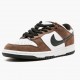 Nike SB Dunk Low Bílý Černá Trail End Hnědý 304292 102 Pánské Sportovní obuv