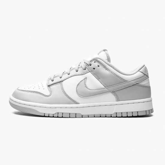 Nike Dunk Low Šedá Fog DD1391 103 Pánské Sportovní obuv