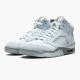 Air Jordan 5 Retro Modrýbird With Stříbrný Bílý DD9336 400