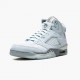 Air Jordan 5 Retro Modrýbird With Stříbrný Bílý DD9336 400